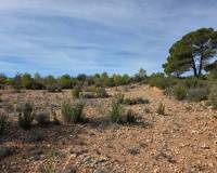 Resale - Plots and Land - Yecla