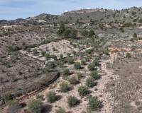 Resale - Plots and Land - Yecla