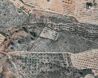 Resale - Plots and Land - Yecla