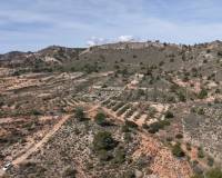 Resale - Plots and Land - Yecla
