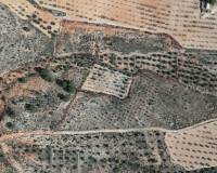Resale - Plots and Land - Yecla