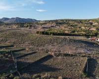 Resale - Plots and Land - Yecla
