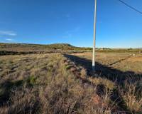 Resale - Plots and Land - Yecla