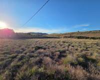 Resale - Plots and Land - Yecla