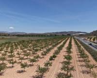 Resale - Plots and Land - Yecla