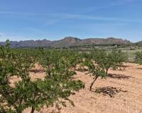 Resale - Plots and Land - Yecla