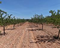 Resale - Plots and Land - Yecla