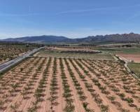 Resale - Plots and Land - Yecla