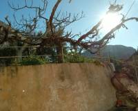 Resale - Semi-Detached - Murcia