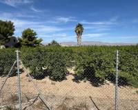 Resale - Town House - Catral - CatralAlicanteValenciaSpain