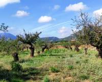 Resale - Urban Plot - Gaianes