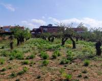 Resale - Urban Plot - Gaianes