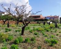 Resale - Urban Plot - Gaianes