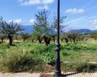 Resale - Urban Plot - Gaianes