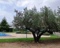 Resale - Urban Plot - Lorcha