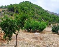 Resale - Urban Plot - Lorcha