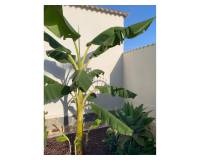 Resale - Villa / Detached - Ciudad Quesada - Quesada Center