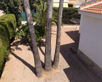 Resale - Villa Detached - Ciudad Quesada