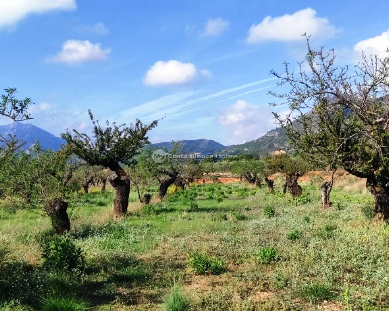 Urban Plot - Resale - Gaianes - Gaianes